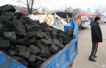 Власти Хакасии решили не повышать цены на уголь и дрова в следующем году