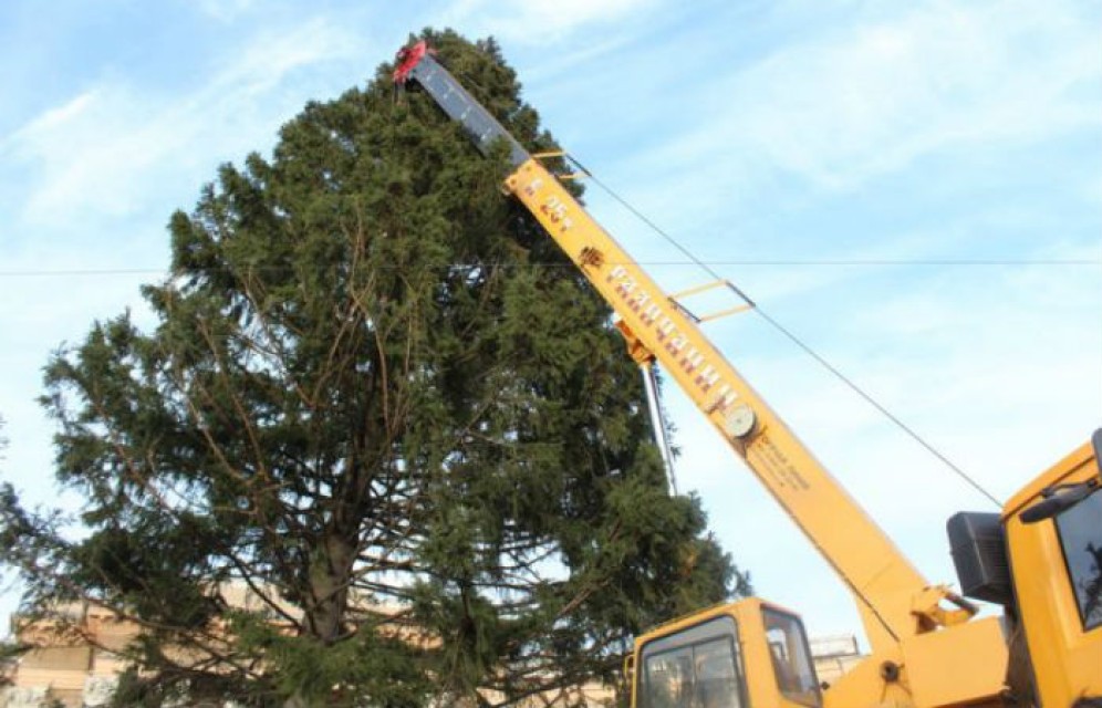 В микрорайонах Абакана начали устанавливать елки