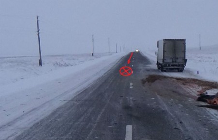 В Хакасии два человека пострадали в ДТП с лошадью 