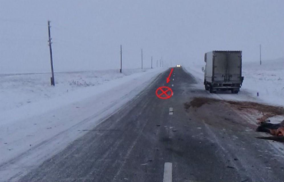 В Хакасии два человека пострадали в ДТП с лошадью 