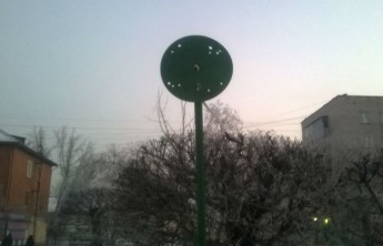 Кто "сорвал" ромашки на аллее в Черногорске? 