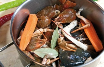 Житель Черногорска хотел купить раков, а нарвался на мошенника