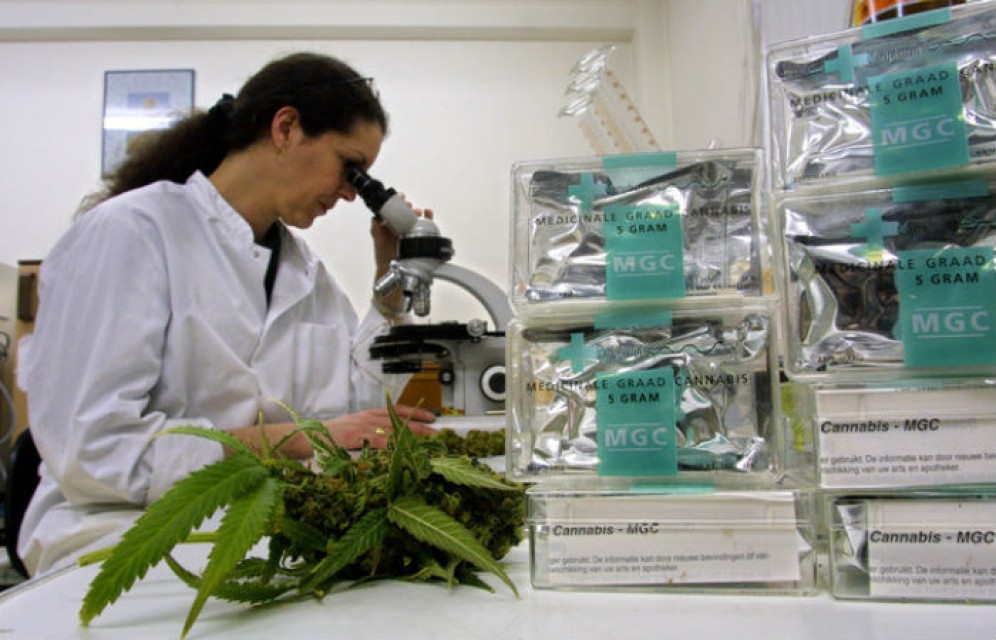 Греция займется промышленным производством каннабиса