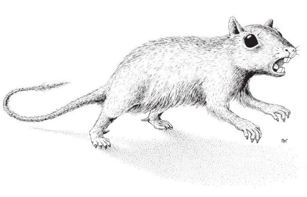 В Сибири обнаружили загадочного байдабатыра