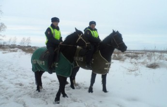 В Красноярском крае полицейские на конях догнали убегающего в лес наркомана