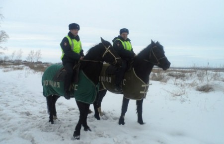 В Красноярском крае полицейские на конях догнали убегающего в лес наркомана