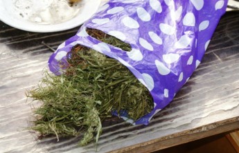 В Хакасии подросток пойдет под суд за сбор конопли