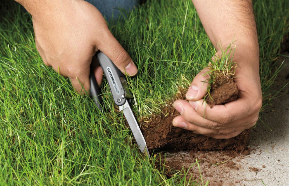 В Хакасии более 500 человек нарушили правила пользования своими земельными участками