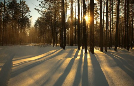 В середине рабочей недели в Хакасию придут морозы