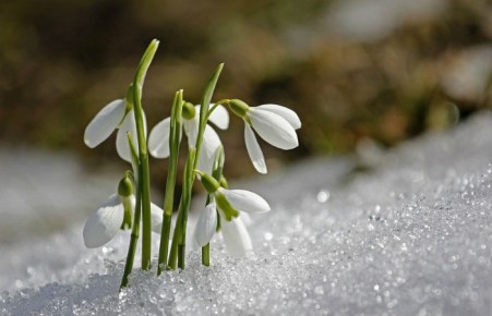 Жителям Хакасии обещают теплый и сухой март