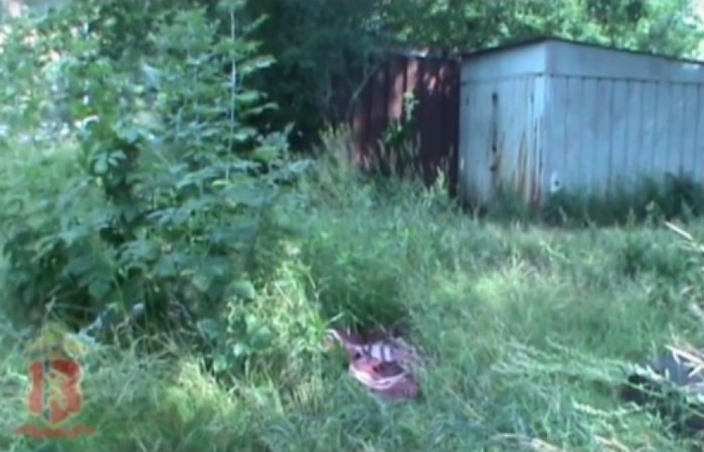 В Красноярске осуждена жительница Хакасии, оставившая новорождённую дочь на газоне у дома ребенка