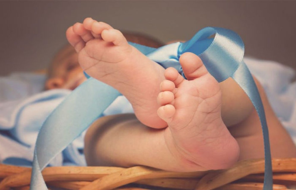 В феврале в Хакасии появились Лира и Фимион