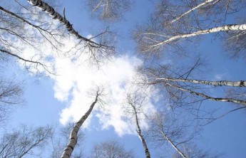 Апрель в Хакасии принесёт меньше осадков, чем обычно