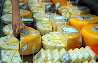 Сыры в российских магазинах оказались фальшивыми и опасными