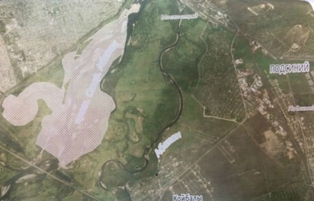 Вокруг Абакана появится особая лесопарковая зона