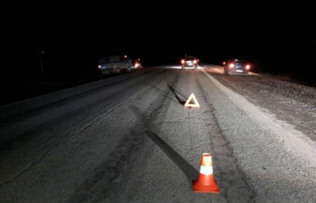 В Зеленом водитель в темноте не заметил женщину-пешехода