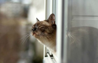 В Хакасии два дня будет жарко