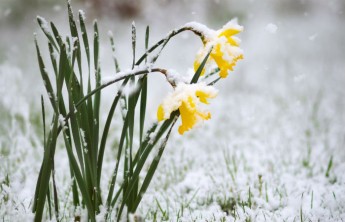 После жарких выходных Хакасию ждут дождь, снег и даже заморозки