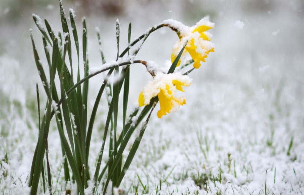 После жарких выходных Хакасию ждут дождь, снег и даже заморозки