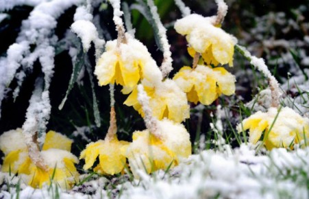 В Хакасии возможен снег