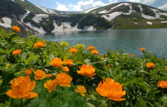 Май в Хакасии будет прохладным