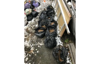 Житель Абакана запас 12 кг марихуаны