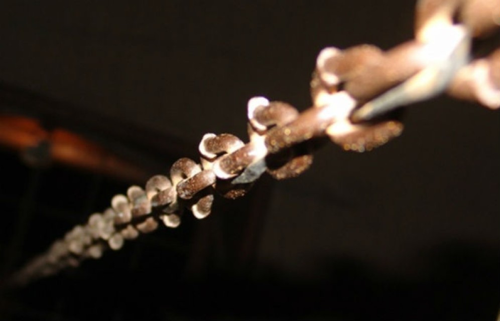 На предпринимателя, который держал сотрудника на цепи, возбуждено уголовное дело