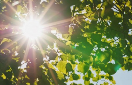 Неделя в Хакасии будет жаркой