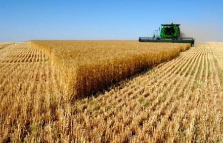 Российским аграриям доплатят за бензин