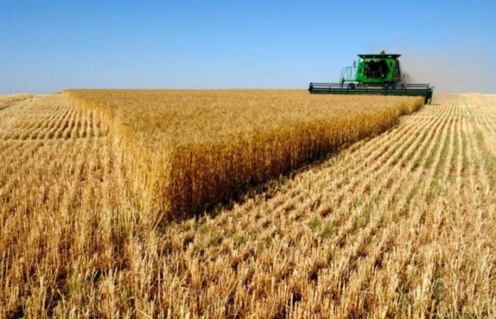 Российским аграриям доплатят за бензин