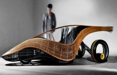 Голландские студенты создали первый в мире "биоразлагаемый" автомобиль