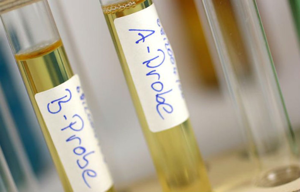 Все допинг-пробы участников ЧМ-2018 оказались отрицательными