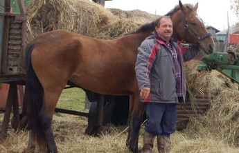 Депутату отказали в парковочном месте для коня