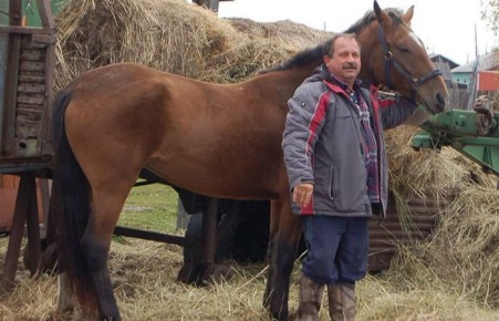 Депутату отказали в парковочном месте для коня