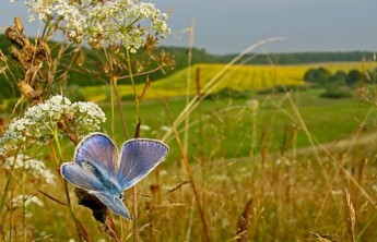 Август в Хакасии будет тёплым и дождливым
