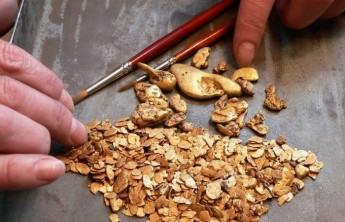 Центрсибнедра выставили на торги россыпь золота в Хакасии