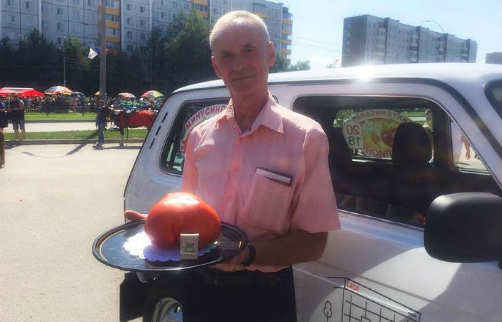 «Ниву» - за помидор: житель Минусинска вырастил гигант весом 1,6 килограммов