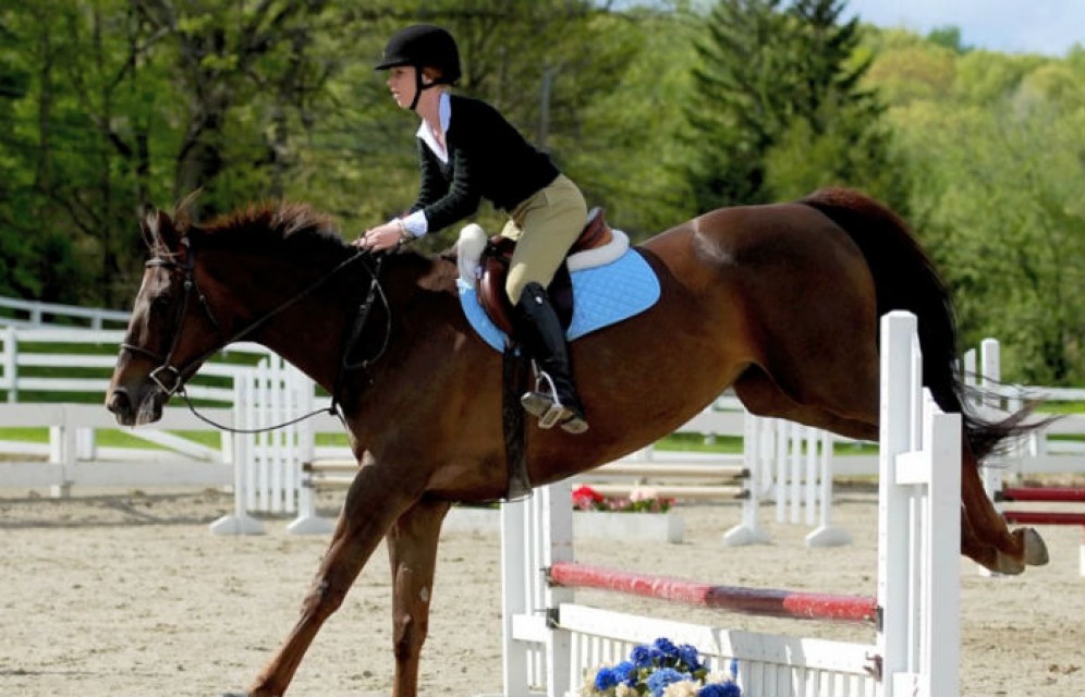 Жительница Красноярска получила травму в Хакасии, упав вместе слошадью