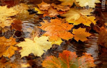 В Хакасии ожидается аномально холодный и дождливый октябрь