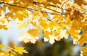 Выходные порадуют жителей Хакасии теплом и солнцем