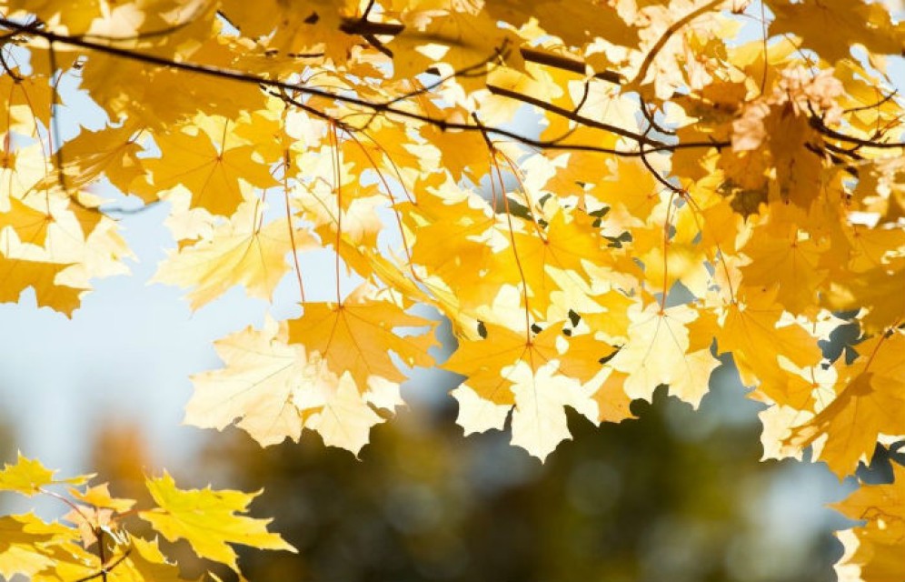 Выходные порадуют жителей Хакасии теплом и солнцем