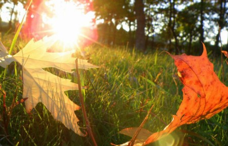 Теплое начало октября в Сибири бьет температурные рекорды