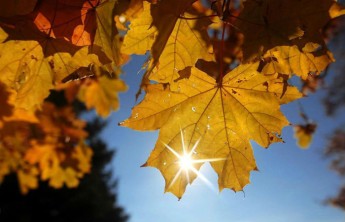 Хакасию ждут теплые выходные