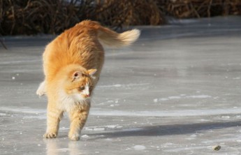 Жителей Хакасии предупредили о гололеде