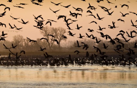 В этот день 10 мая