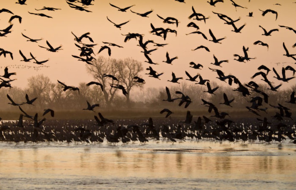 В этот день 10 мая