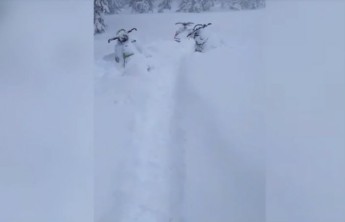 СМИ: Спасатели нашли место стоянки пропавших в Хакасии туристов