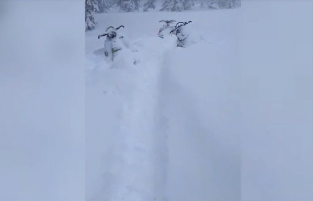 СМИ: Спасатели нашли место стоянки пропавших в Хакасии туристов