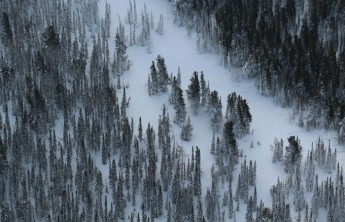 МЧС до весны приостановило поиски пропавших в Приисковом туристов 