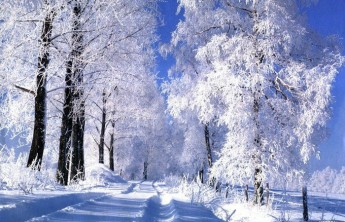 Морозы в Хакасии задержатся